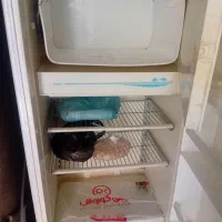 یخچال ارج|یخچال و فریزر|ایوان, |دیوار