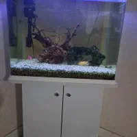 اکواریوم با تمام وسایل