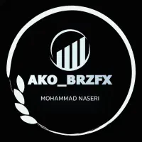 تریدر حرفه‌ای شو  دوره AKO - BRZFX