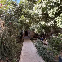 حسابدار با تجربه رستوران