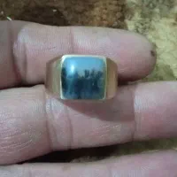 انگوشتر شجر