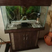 آکواریوم فروش فوری به علت جابه جایی