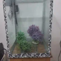 اکواریوم قدی