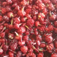 ترشی گل سیر یک کیلویی