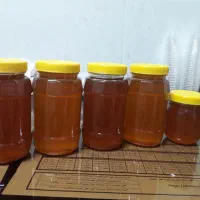 عسل صدرصد خالص و طبیعی|خوردنی و آشامیدنی|قم, شهرک امام حسین|دیوار
