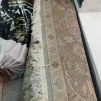 فرش|فرش|گنبد کاووس, |دیوار