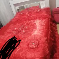 فایل|کتابخانه، شلف، قفسههای دیواری|مشهد, حضرت حجت|دیوار