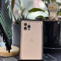 اپل ۱۲ پرو / بازنشستگی