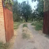 ۱۰۰ من باغ میوه