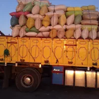 خار.کاه خار.خارشتری سبز.