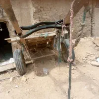 مزرعه|حیوانات مزرعه|سیب و سوران, |دیوار