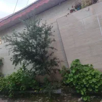 خانه-ویلایی-دونبش-با-سند-مرکز-شهر-کومله-2250م