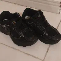 کتانی زنانه|کیف، کفش، کمربند|سنقر, |دیوار