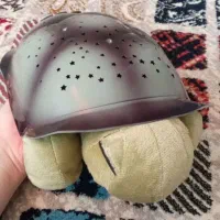 چراغ خواب شلمن