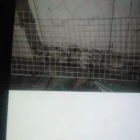 چوب لباسی وتوری فلزی|بندرخت و رخت‌آویز|فسا, |دیوار