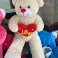 خرس آلمشام