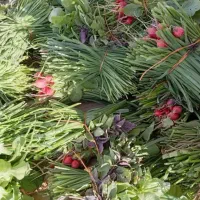 سبزی خوردنی رومشکان