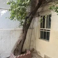 اجاره سوئیت ۲۵ متری در کن