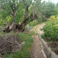 باغ-ویلا-فروشی