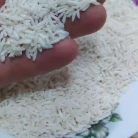 برنج هاشمی گرم
