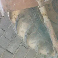 یکدسگاه تراکتور رومانی بسیار سالم|خودرو سنگین|قیدار, |دیوار