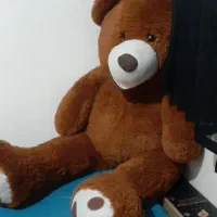 خرس کنسول و آیینه|آینه|ری, سیزده آبان|دیوار