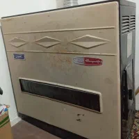 بخاری سالم و بزرگ