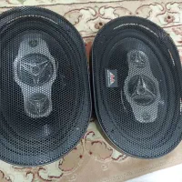 یک جفت باندخربزای سالم