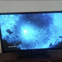 فروش تلویزیون ۴۳ سامسونگ|تلویزیون و پروژکتور|رشت, دباغیان|دیوار