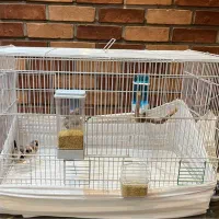 قفس بزرگ خارجی