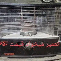 جوجه شروایی|حیوانات مزرعه|هامون, |دیوار