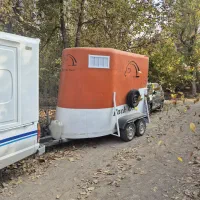 جابه جایی اسب|خدمات حمل و نقل|سلماس, |دیوار