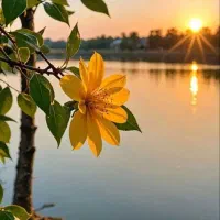 بهیار یا پرستار با مدرک کاردانی یا کارشناسی