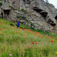 تور دوستانه نئور به سوباتان