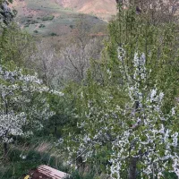 مشارکت شمشک دربندسر