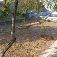 طراحی باغ و ویلا ،ساخت باغچهو نگهداری درختان|خدمات باغبانی و درختکاری|مشهد, امیریه|دیوار