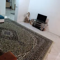 منزل مبله روزانه و هفتگی ۳خوابه لوکیشن عالی|اجارهٔ کوتاه‌مدت آپارتمان و سوئیت|شیراز, کاراندیش|دیوار