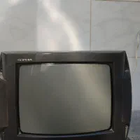 تلویزیون