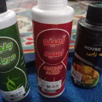 سینگونیوم ابلق|گل و گیاه طبیعی|بروجرد, |دیوار