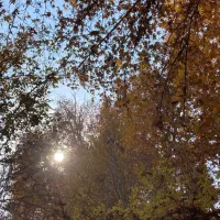 منزل-ویلایی-گیلاوند