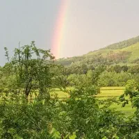 257متر مربع سند تک برگ پروانه ساخت