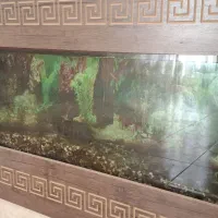 آکواریوم ماهی