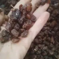 کشمش درجه یک آفتابی