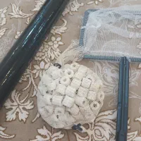وسایل آکواریوم و ماهی