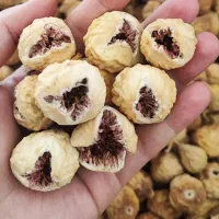 انجیر تازه و ارگانیک