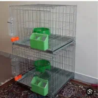 قفس جفت کن کبوتر