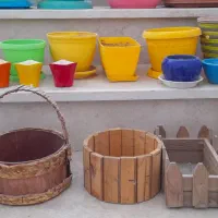 تعدادی گلدان|گل و گیاه طبیعی|شیروان (خراسان), |دیوار