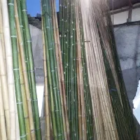 استخدام ادمین و حسابدار در هایپر باباچوب|استخدام معماری، عمران و ساختمانی|چهاردانگه (تهران), |دیوار