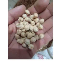 نخود آبگوشتی