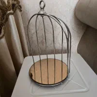 تی بگ و قفسه